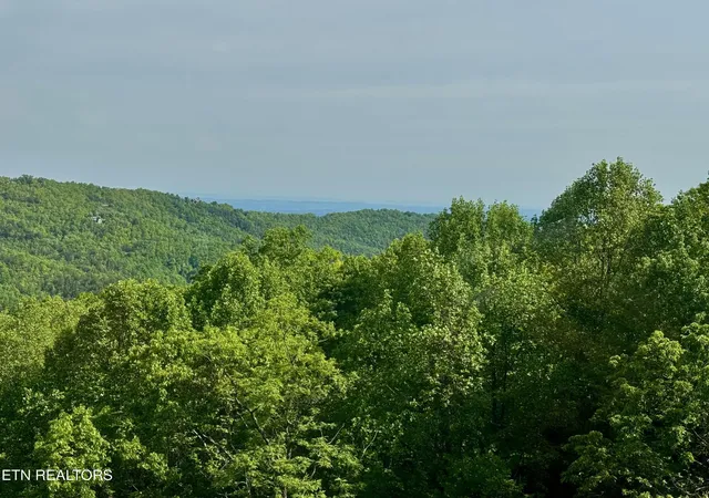 3rd image of 1102 Ski View Dr #UNIT 306, Gatlinburg, TN 37738 | MLS# 3516895