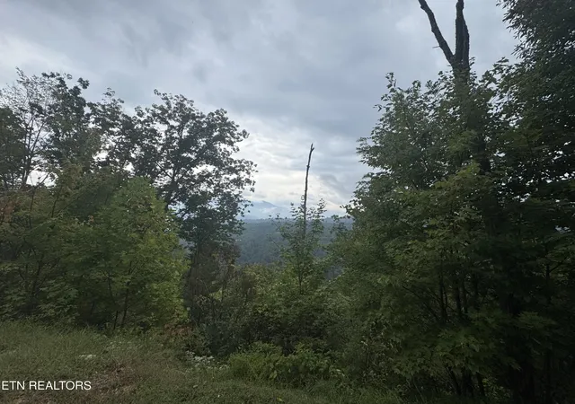 3rd image of 0 Enclave Park Way, Sevierville, TN 37862 | MLS# 3516899