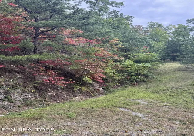 5th image of 0 Enclave Park Way, Sevierville, TN 37862 | MLS# 3516899