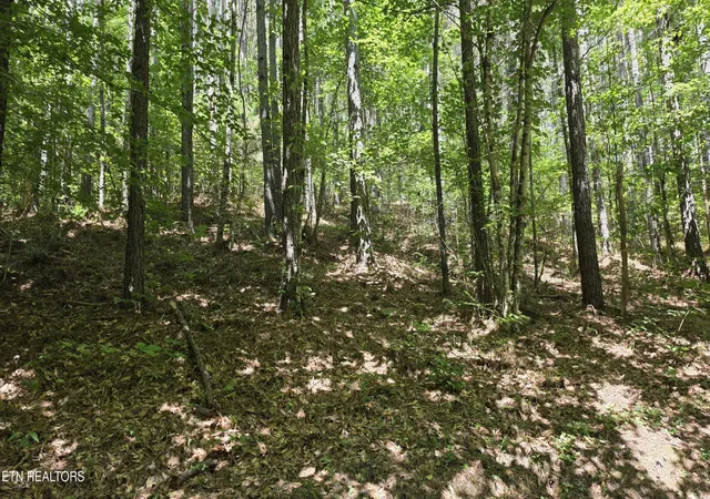 4th image of 0 County Rd, Athens, TN 37303 | MLS# 3516663