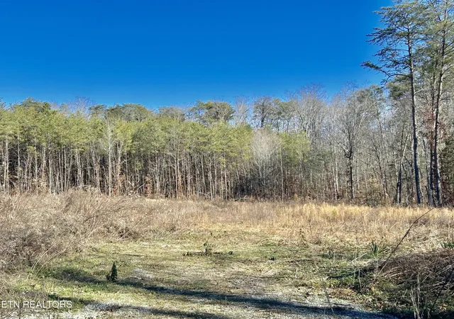 1st image of 504 Wiggins Rd, Tellico Plains, TN 37385 | MLS# 3525571