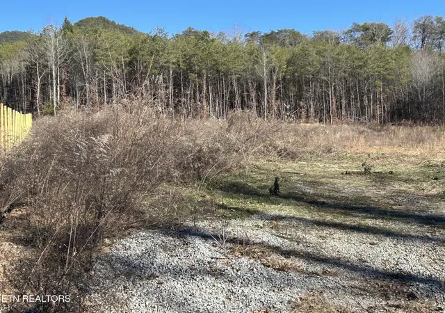 4th image of 504 Wiggins Rd, Tellico Plains, TN 37385 | MLS# 3525571