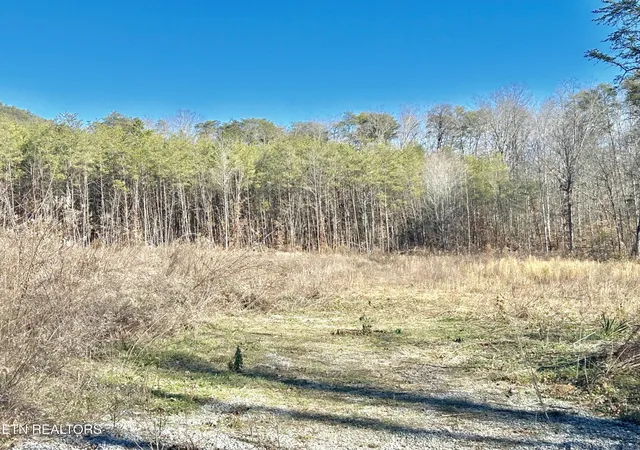 5th image of 504 Wiggins Rd, Tellico Plains, TN 37385 | MLS# 3525571