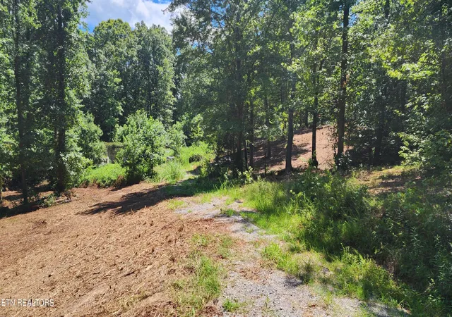 1st image of 375 Goins Hill Road, Ten Mile, TN 37880 | MLS# 3516687
