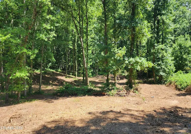 9th image of 375 Goins Hill Road, Ten Mile, TN 37880 | MLS# 3516687