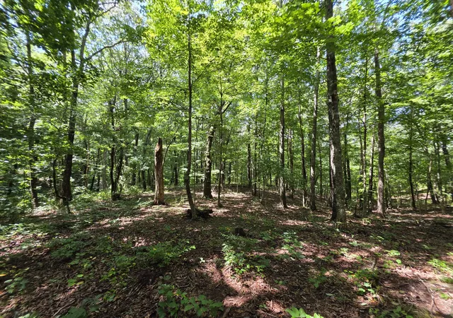 5th image of 12 Valley View Dr, Altamont, TN 37301 | MLS# 3516517