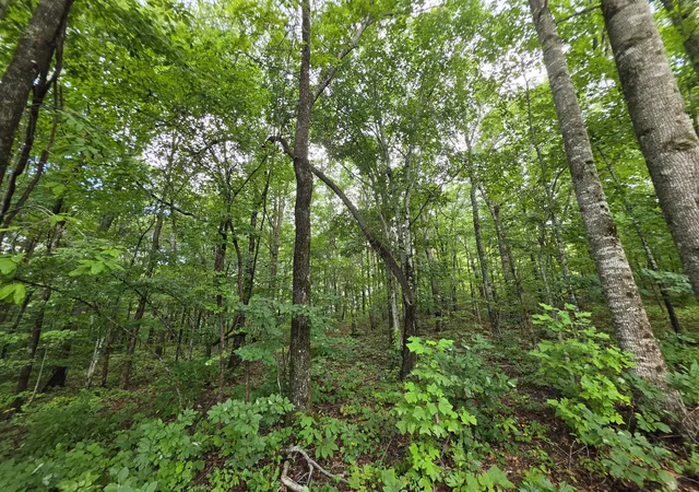 12th image of 12 Valley View Dr, Altamont, TN 37301 | MLS# 3516517