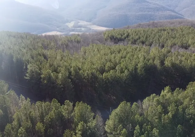 1st image of 0 Hillis Cemetary Rd, Spencer, TN 38585 | MLS# 3518390