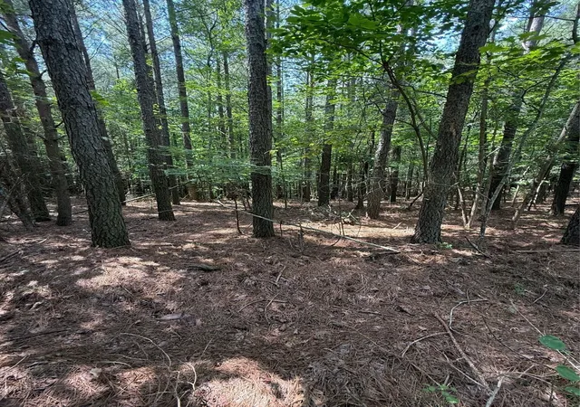 2nd image of 0 Hillis Cemetary Rd, Spencer, TN 38585 | MLS# 3518390