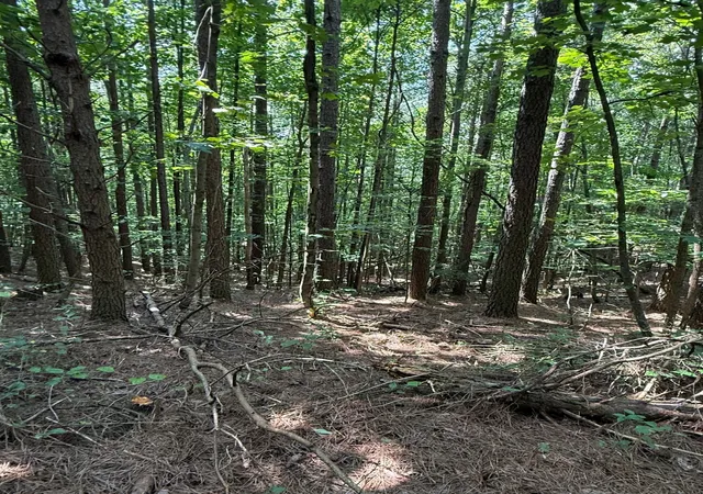 3rd image of 0 Hillis Cemetary Rd, Spencer, TN 38585 | MLS# 3518390