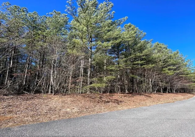 4th image of 0 Hillis Cemetary Rd, Spencer, TN 38585 | MLS# 3518390
