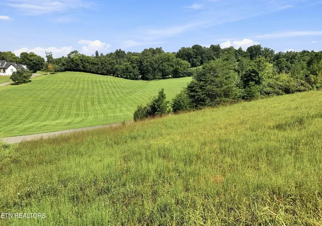 Photo 2 of Land for sale at 0 Holston River Dr, Rutledge, TN 37861 | MLS# 3518365 | Listing updated on 2026-08-20