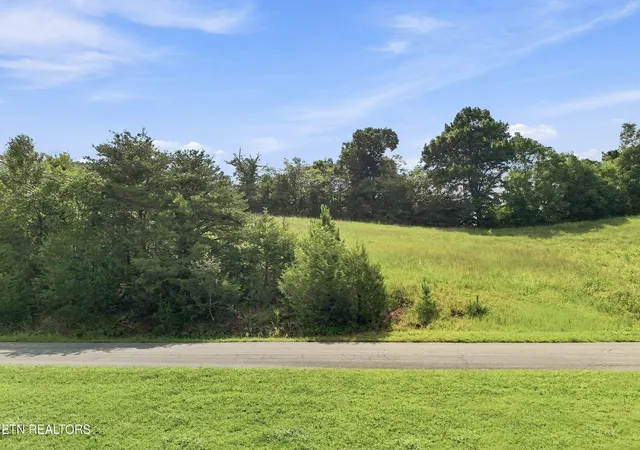 Photo 3 of Land for sale at 0 Holston River Dr, Rutledge, TN 37861 | MLS# 3518365 | Listing updated on 2026-08-20