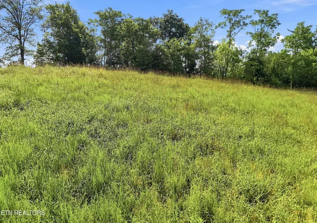 Photo 4 of Land for sale at 0 Holston River Dr, Rutledge, TN 37861 | MLS# 3518365 | Listing updated on 2026-08-20