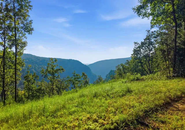1st image of 0 Worley Road, Soddy Daisy, TN 37379 | MLS# 3518370