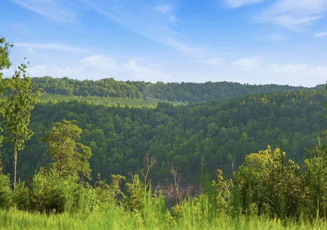 2nd image of 0 Worley Road, Soddy Daisy, TN 37379 | MLS# 3518370