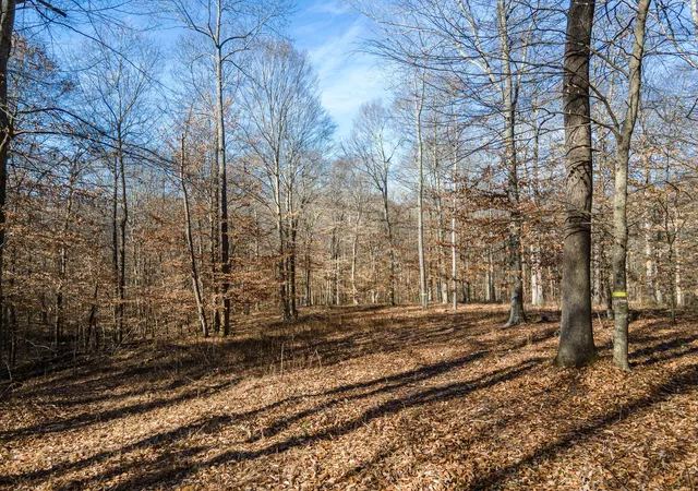 Photo 1 of Land for sale at 0 Highway 49, Ashland City, TN 37015 | MLS# 3546687 | Listing updated on 2026-10-07