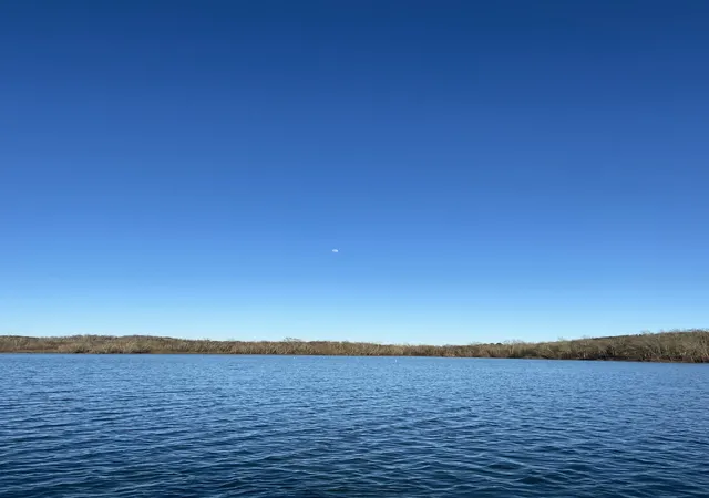 1st image of 0 Roan Creek, Lobelville, TN 37097 | MLS# 3520521