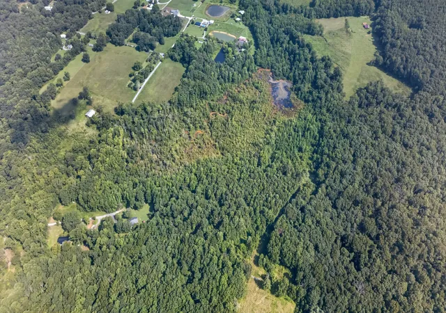 4th image of 0 Bottom Rd, Palmer, TN 37365 | MLS# 3520626
