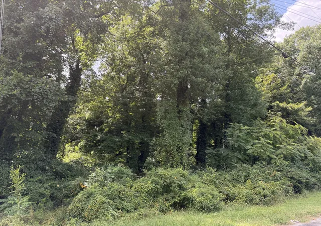 Photo 4 of Land for sale at 913 Riverside Dr, Columbia, TN 38401 | MLS# 3520382 | Listing updated on 2026-08-21