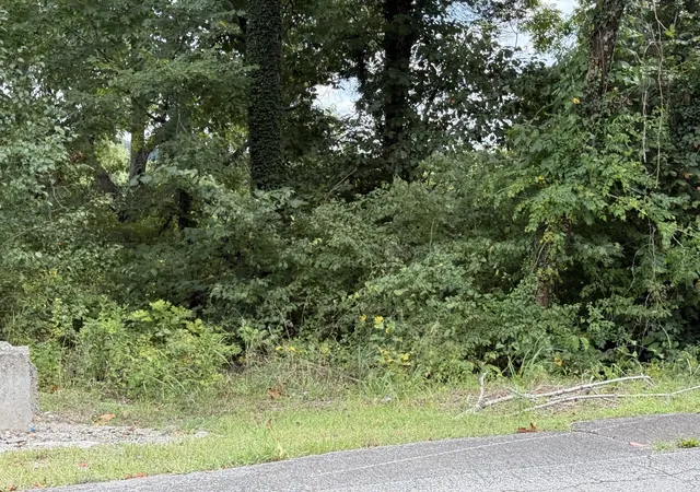8th image of 913 Riverside Dr, Columbia, TN 38401 | MLS# 3520382