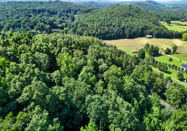60th image of 0 Moss Rd, Philadelphia, TN 37846 | MLS# 3518825