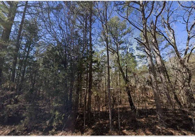 1st image of 0 Bethesda Purdy Road, Selmer, TN 38375 | MLS# 3518892