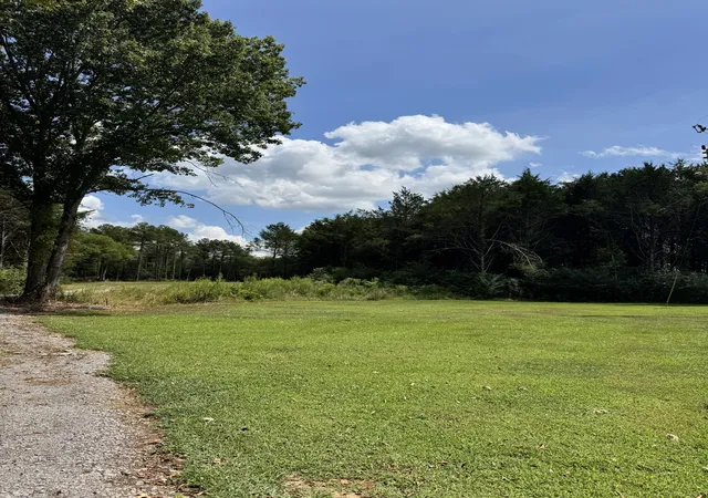 60th image of 212 Anderton Rd, Bell Buckle, TN 37020 | MLS# 3524716