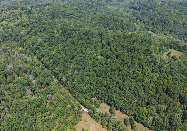 Photo 3 of Land for sale at 661 Red Tuttle Rd, Bethpage, TN 37022 | MLS# 3529778 | Listing updated on 2026-08-31