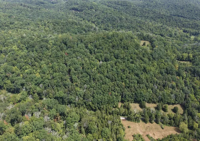 Photo 4 of Land for sale at 661 Red Tuttle Rd, Bethpage, TN 37022 | MLS# 3529778 | Listing updated on 2026-08-31