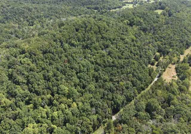 Photo 3 of Land for sale at 121 Madden Private Ln, Bethpage, TN 37022 | MLS# 3529770 | Listing updated on 2026-08-31