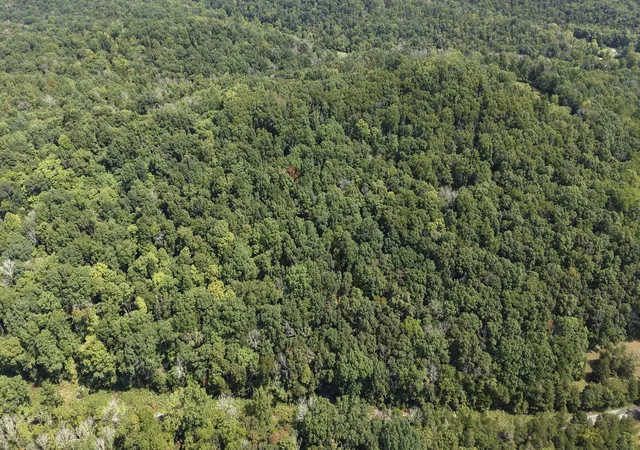 Photo 4 of Land for sale at 121 Madden Private Ln, Bethpage, TN 37022 | MLS# 3529770 | Listing updated on 2026-08-31