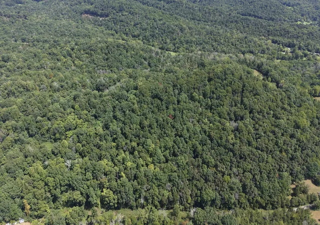 Photo 3 of Land for sale at 173 Madden Private Ln, Bethpage, TN 37022 | MLS# 3529772 | Listing updated on 2026-08-31