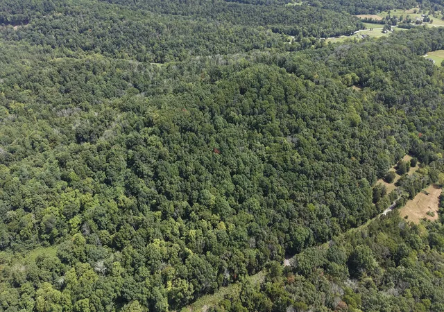 Photo 4 of Land for sale at 173 Madden Private Ln, Bethpage, TN 37022 | MLS# 3529772 | Listing updated on 2026-08-31
