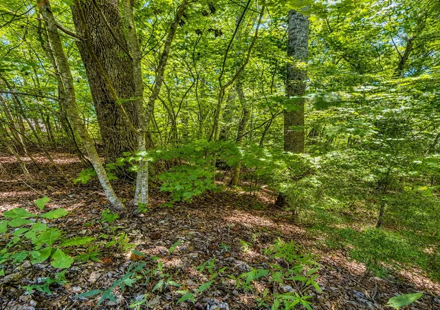 Photo 6 of Land for sale at 0 Tennis Center Dr, Smithville, TN 37166 | MLS# 3520509 | Listing updated on 2026-09-02