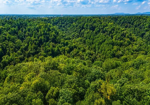 Photo 3 of Land for sale at 0 Tennis Center Dr, Smithville, TN 37166 | MLS# 3520509 | Listing updated on 2026-10-08