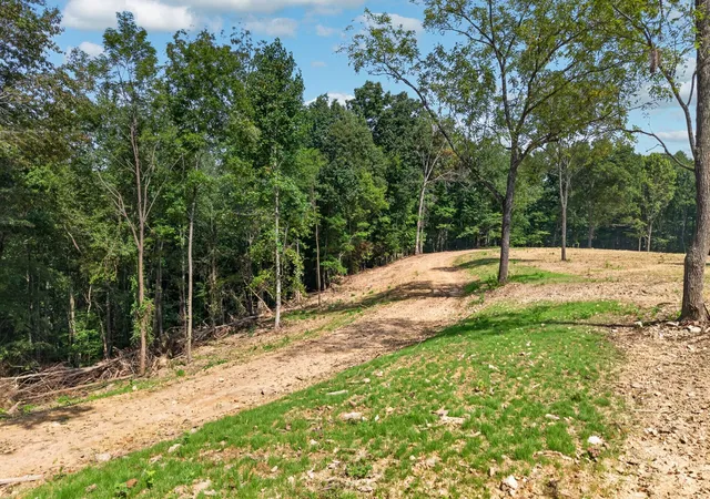 Photo 15 of Land for sale at 195 Hack Dyer Ln, Bloomington Springs, TN 38545 | MLS# 3520273 | Listing updated on 2026-08-21