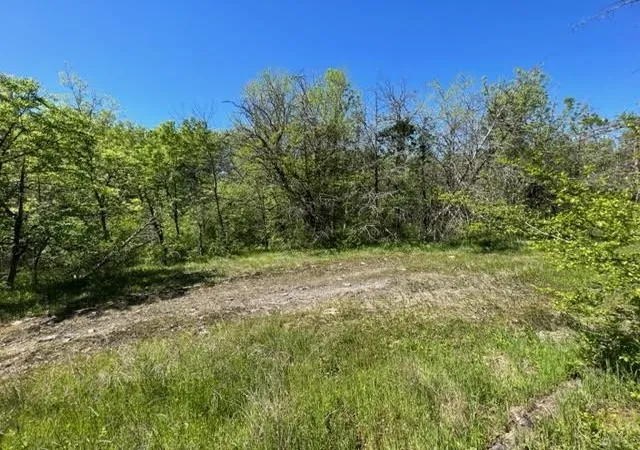 1st image of 0 Joe Brown Rd, Spring Hill, TN 37174 | MLS# 3520884