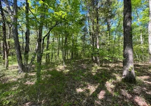 2nd image of 0 Joe Brown Rd, Spring Hill, TN 37174 | MLS# 3520884