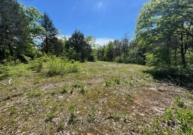 4th image of 0 Joe Brown Rd, Spring Hill, TN 37174 | MLS# 3520884