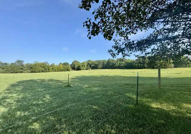 45th image of 5242 Lunns Store Rd, Chapel Hill, TN 37034 | MLS# 3519252