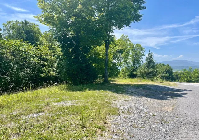 1st image of 0 Waterford Way, Newport, TN 37821 | MLS# 3519136