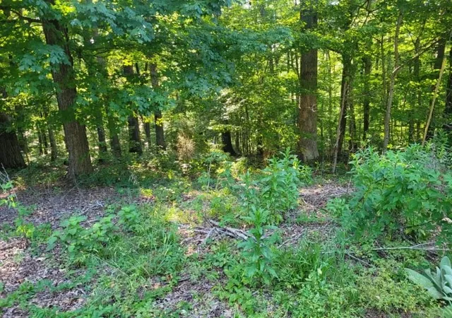 3rd image of 0 Scenic Dr, Dickson, TN 37055 | MLS# 3525641