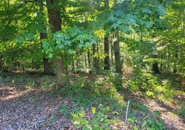 4th image of 0 Scenic Dr, Dickson, TN 37055 | MLS# 3525641
