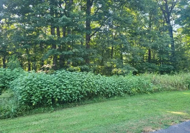 5th image of 0 Scenic Dr, Dickson, TN 37055 | MLS# 3525641