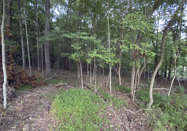 1st image of 25 Chatham Ct, Crossville, TN 38558 | MLS# 3520371