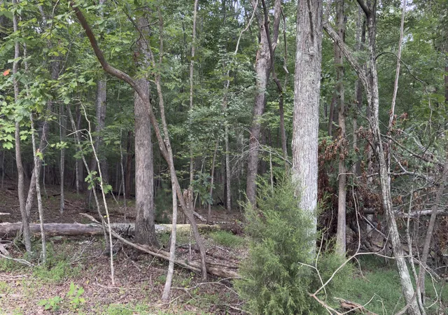 2nd image of 25 Chatham Ct, Crossville, TN 38558 | MLS# 3520371
