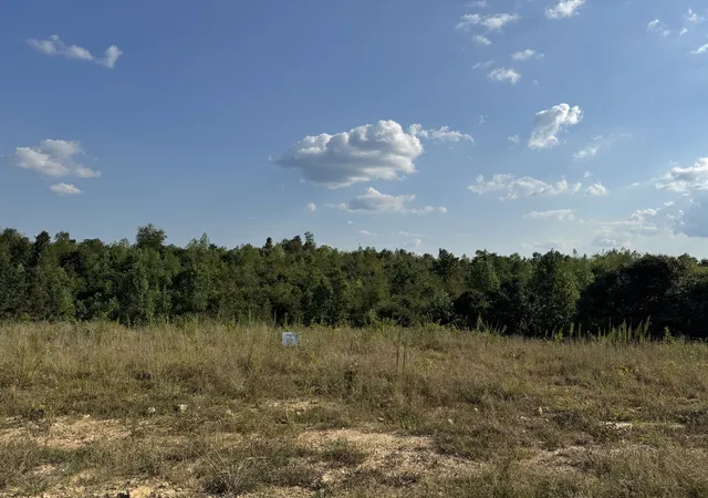 Photo 1 of Land for sale at 169 Twin Pines Rd, Lobelville, TN 37097 | MLS# 3528842 | Listing updated on 2026-10-08