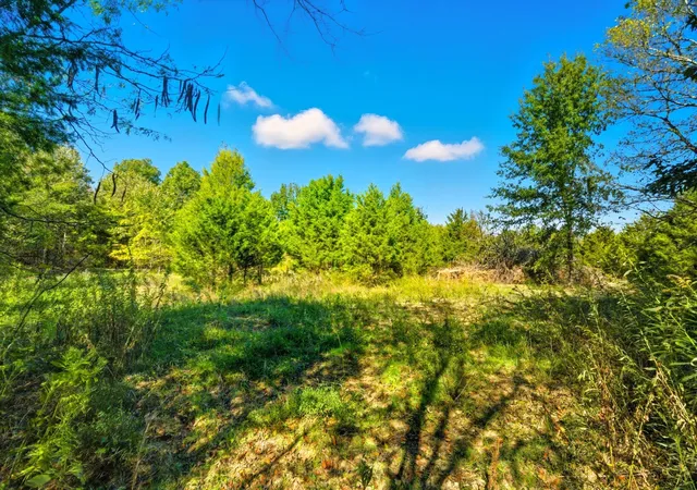 Photo 3 of Land for sale at 795 White Rd, Portland, TN 37148 | MLS# 3519294 | Listing updated on 2026-10-01