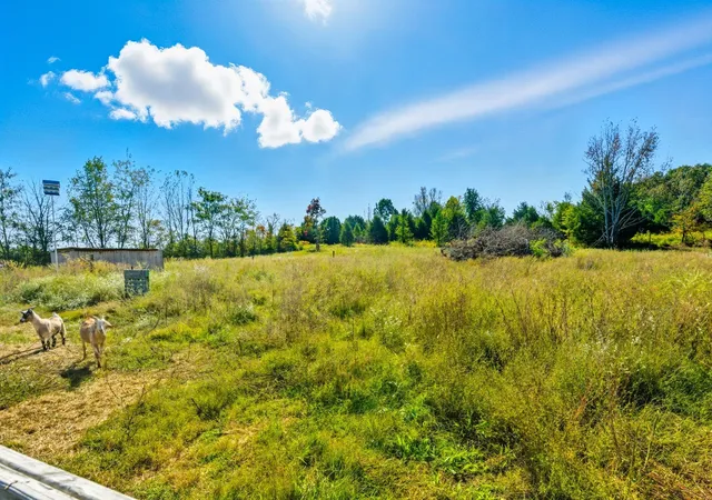 Photo 4 of Land for sale at 795 White Rd, Portland, TN 37148 | MLS# 3519294 | Listing updated on 2026-10-01